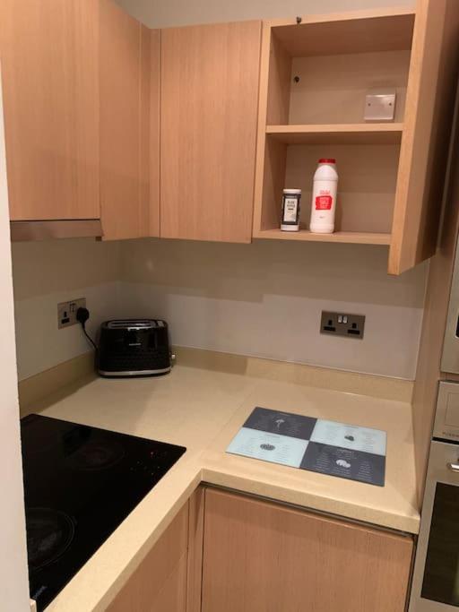 Stunning 2 Bed Flat! Centrally Located In London, Uk! Buitenkant foto